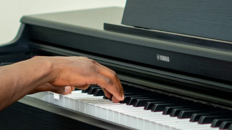 How to Play Mary Had a Little Lamb — Easy Notes for Violin, Piano, Trumpet & Sax